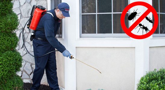 Çamlıyayla Böcek ve Haşere İlaçlama böcek ilaçlama ve haşere kontrolü — ilaclama-tr.com